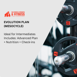 Evolution Plan (Mesocycle)