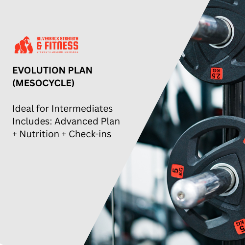 Evolution Plan (Mesocycle)